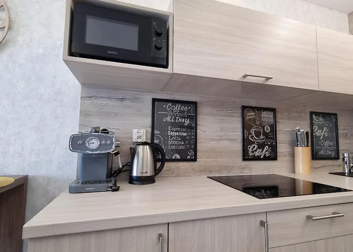 Q Orion - Dwupokojowy, Klimatyzowany Przy Manufakturze Z Garazem Gratis, Fv 罗兹